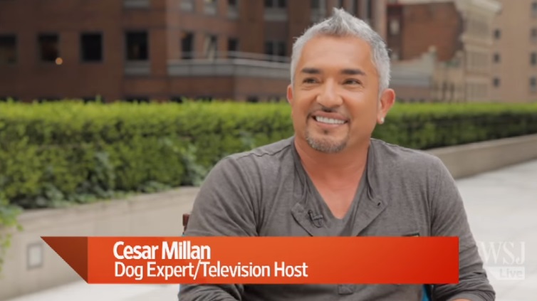 Dog whisperer Cesar Millan has been training dogs for more than two decades.
