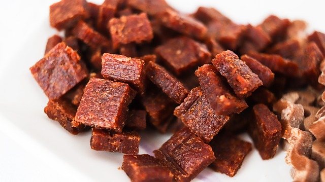 pet-food-dog-snack-pet-dog-pupp